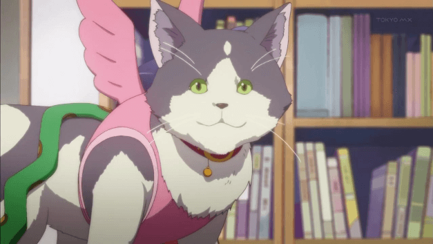 Best anime cats