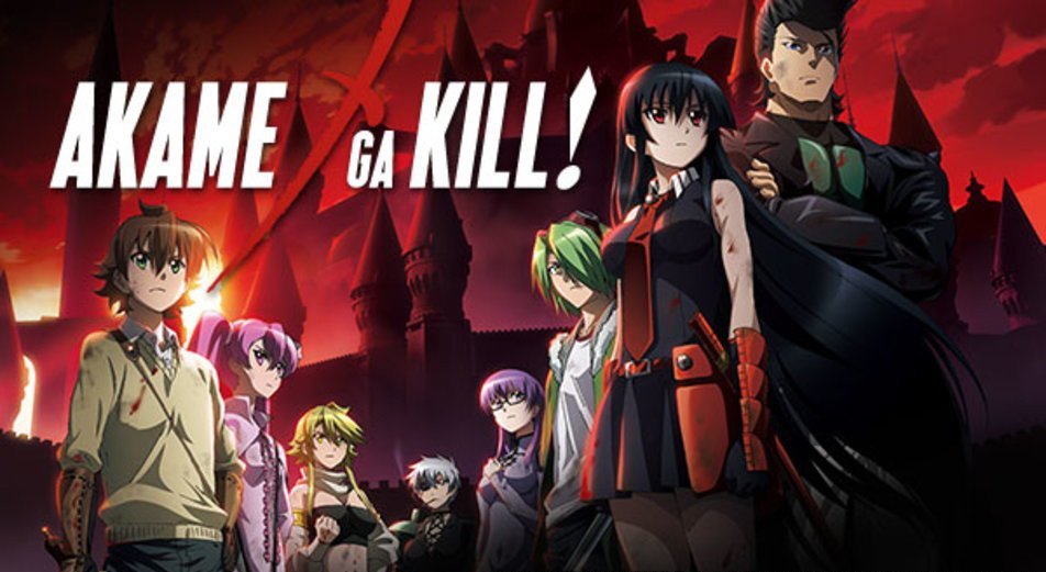 Akame ga Kill! - Adult anime series