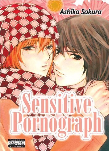 sensitive pornograph - gay anime series