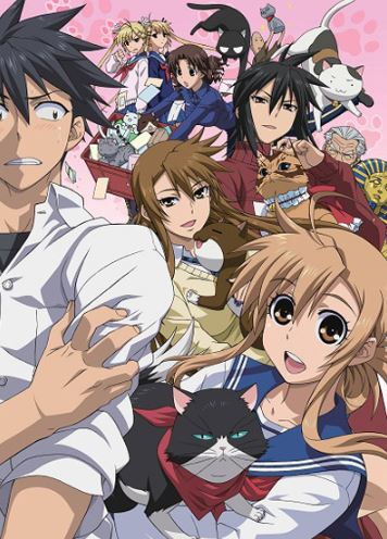 40+ Best Harem Anime That You Should Definitely Watch - 2022
