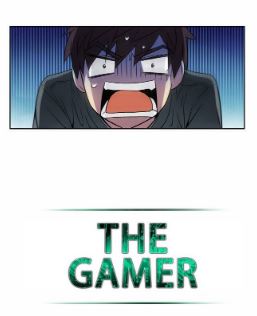 the gamer