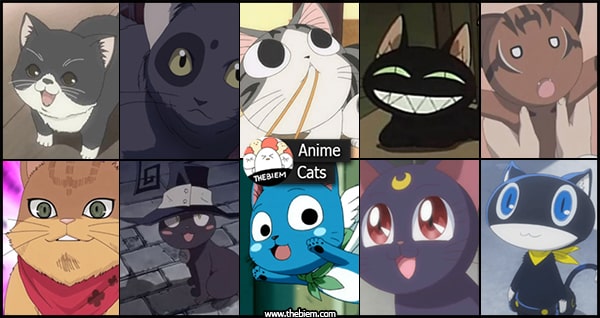 Anime Cats