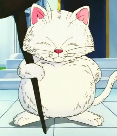 Korin - anime cats