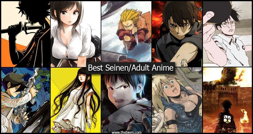 Anime Genres Seinen
