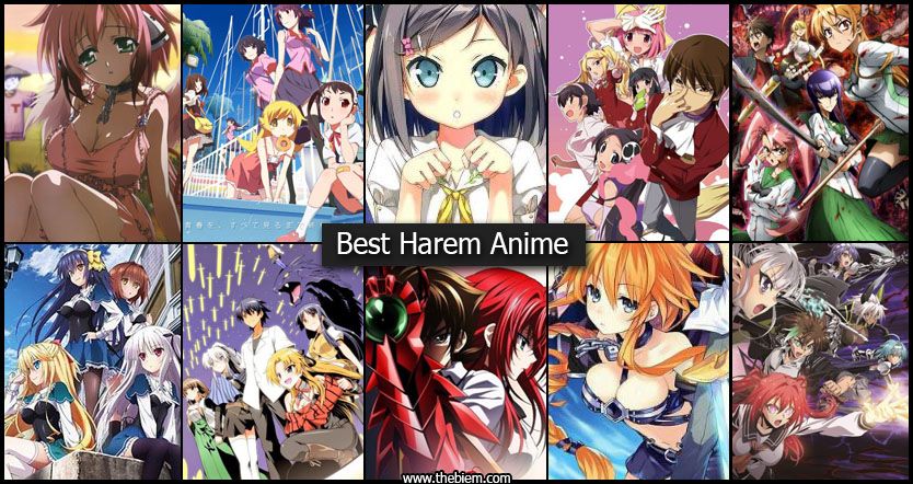 Best Harem Anime Featured Image