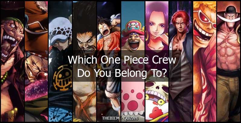 Which One Piece Pirate Crew Do You Belong To? • Thebiem