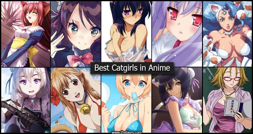 Top 30 Cutest Catgirls In All Of Anime That You Will Fall For