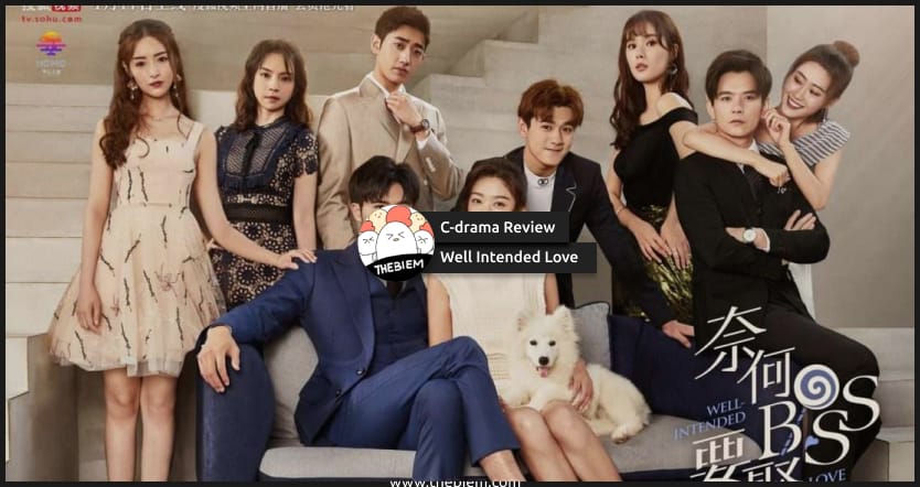 C-drama Review Well Intended Love