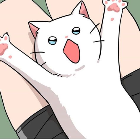 best cats in webtoon- Claud From Meow Man