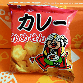 Curry Turtle Crackers - Tokyo Treat September Box