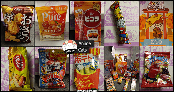 Japan Candy Box September Edition